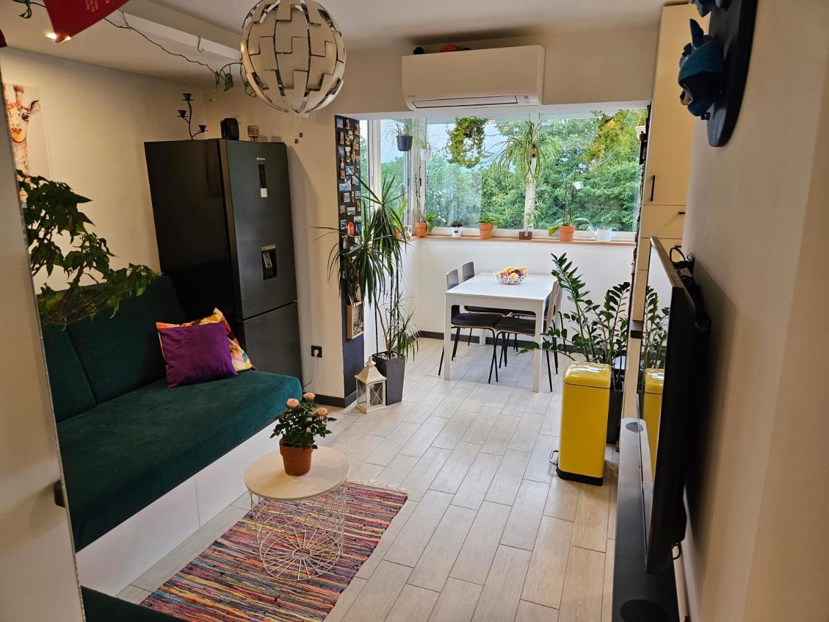 Apartman Carnevalus Fiume Kültér fotó