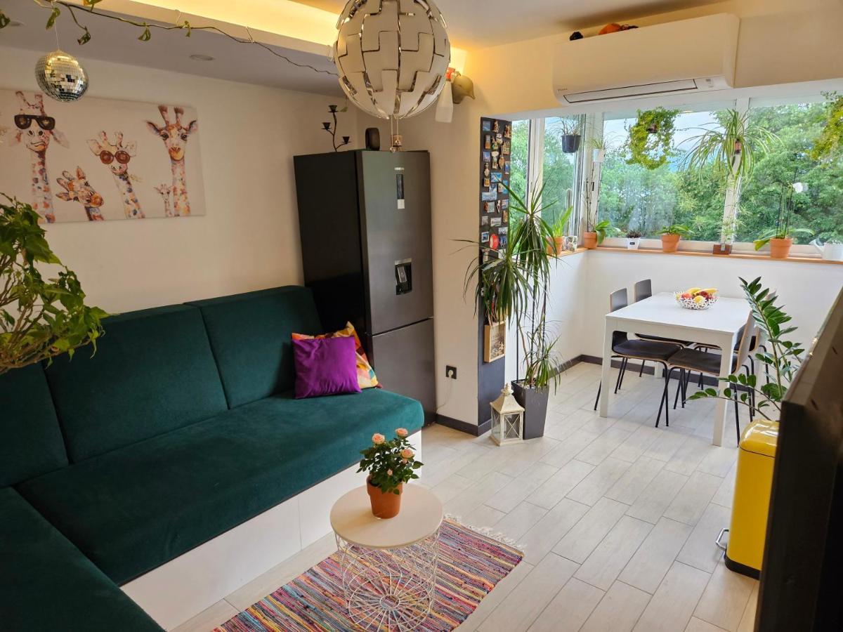 Apartman Carnevalus Fiume Kültér fotó