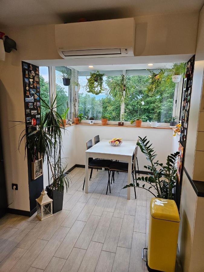 Apartman Carnevalus Fiume Kültér fotó
